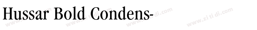 Hussar Bold Condens字体转换